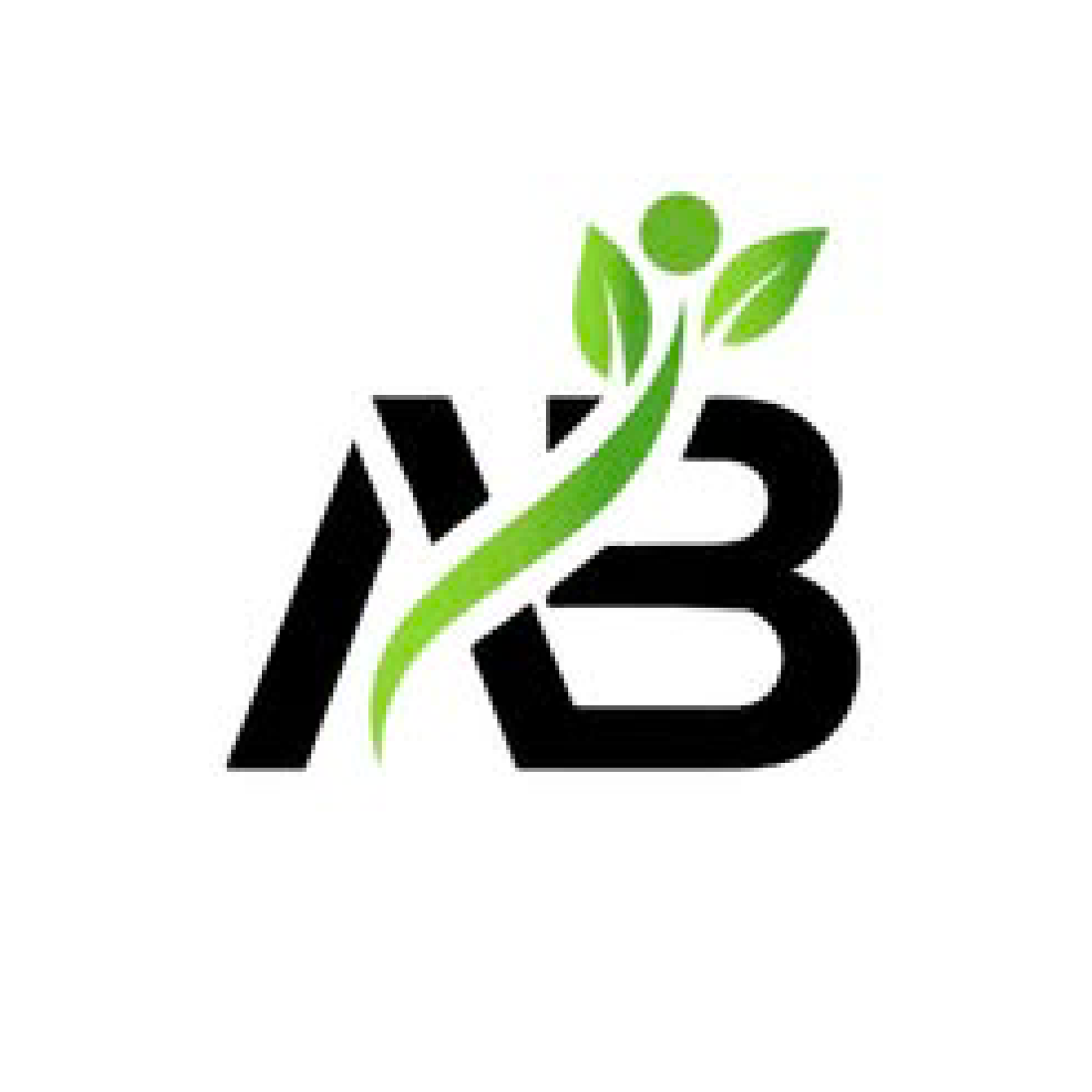 Albushra School Logo